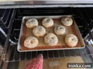 Freshly baked whole wheat sourdough bagels on a cooling rack