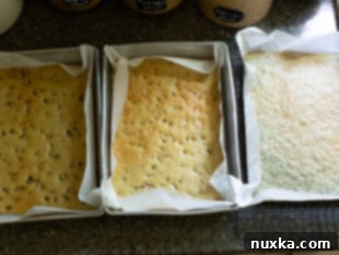 Baked sponge cake layers cooling on a rack