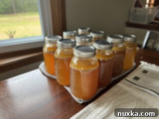 Canned chicken broth jars cooling on a table after pressure canning.
