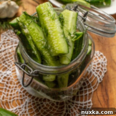 Zesty Garlic Dill Cucumber Spears 4 garlic and dill marinated cucumbers