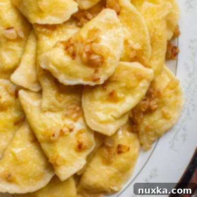 Potato Pierogi Traditional Polish Dumplings 5 Homemade Polish Pierogi with Potato Filling