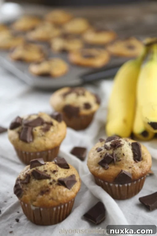 Freshly baked super moist banana chocolate chip muffins, cooled and ready to serve