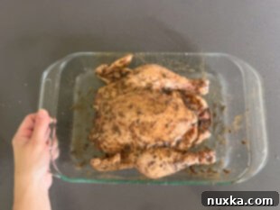 rubbed spices over whole chicken