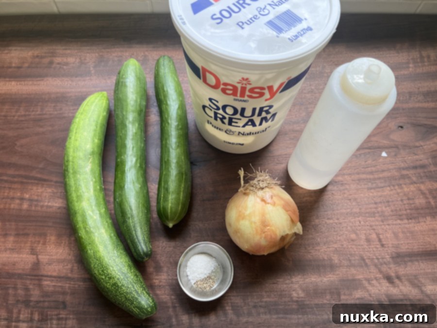 ingredients for creamy cucumber and onion saald 
