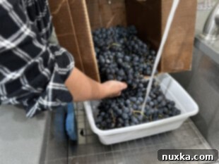 washing grapes