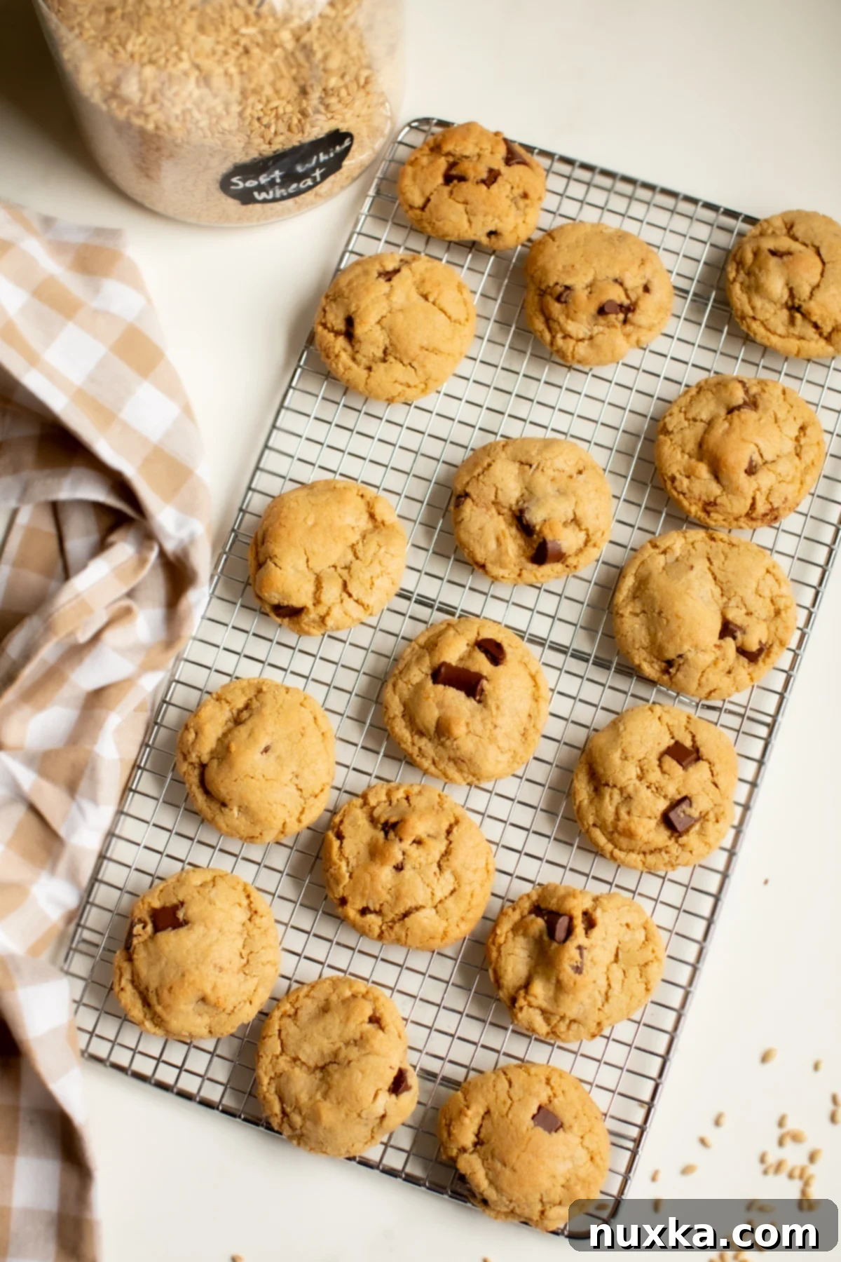 coconut chocolate chip cookies from freshly milled flour 