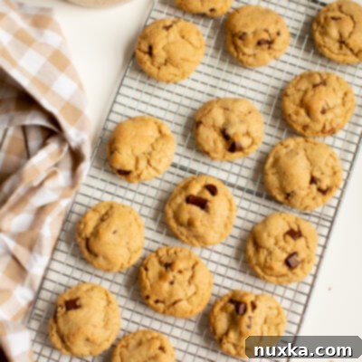 Hand-Milled Coconut Chocolate Chip Cookies 5 coconut chocolate chip cookies