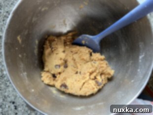 img 27121 19