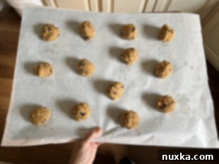 chocolate chip coconut cookies on a cookie sheet