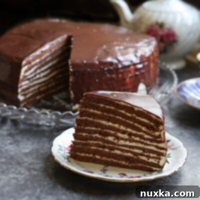 Chocolate Spartak cake