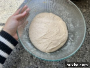 sourdough focaccia pizza dough after bulk fermentation