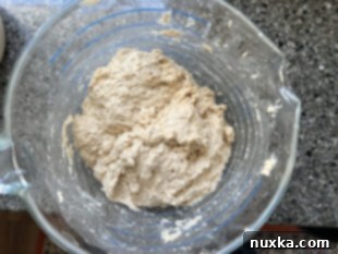 whole wheat sourdough biscuit dough