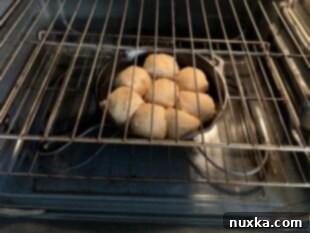 baked sourdough biscuits with freshly milled flour