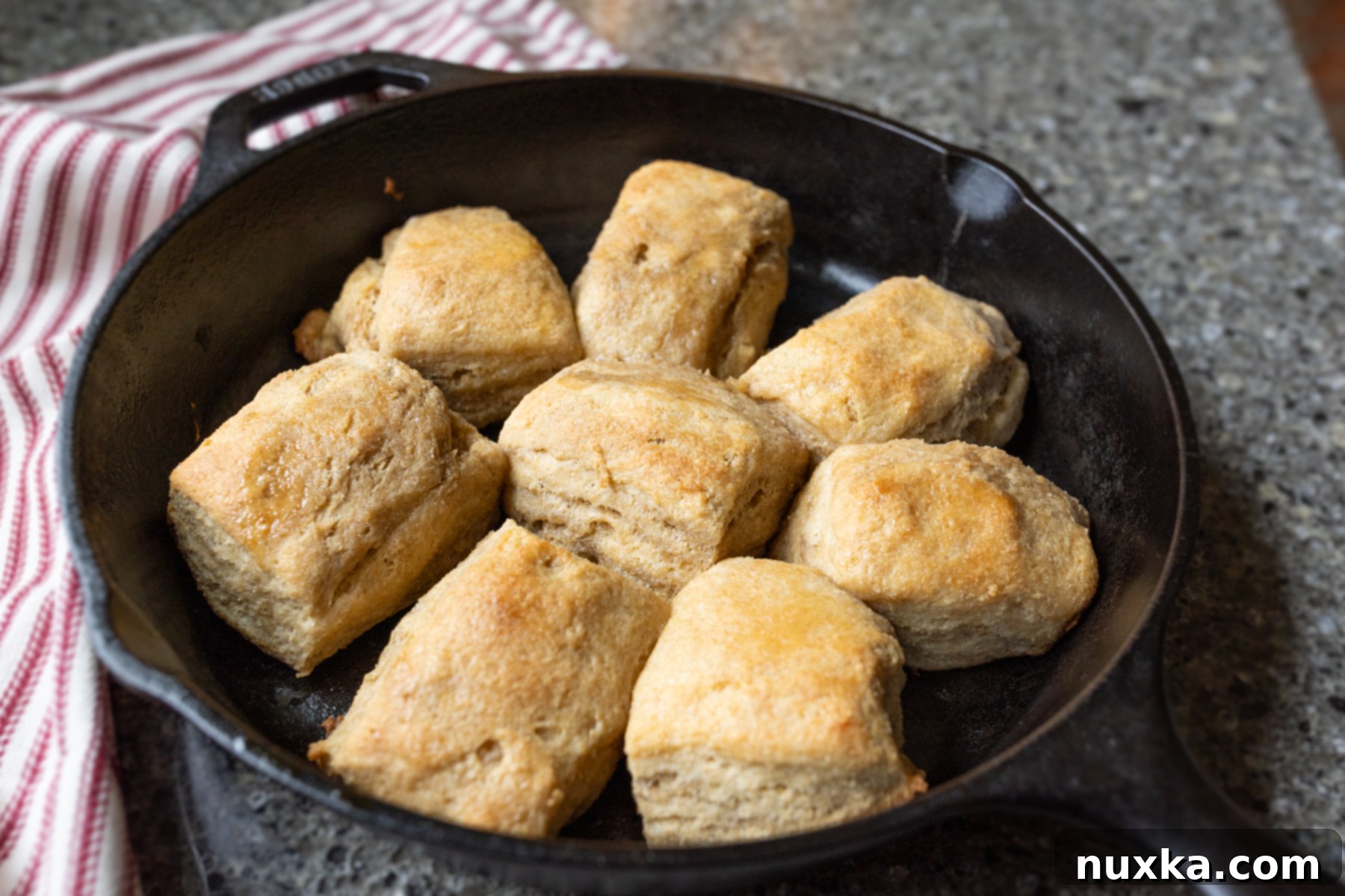 whole wheat sourdough biscuits 