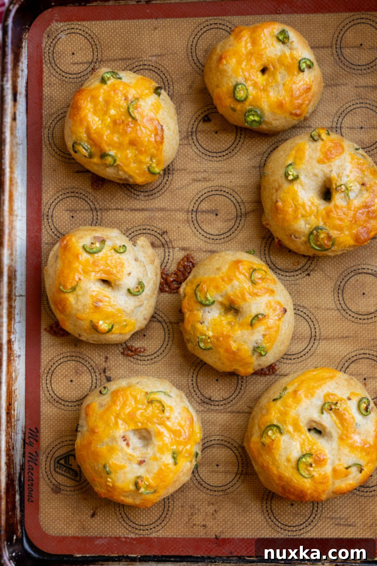 Jalapeno cheddar sourdough bagels made with freshly milled flour