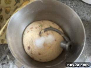 jalapeno cheddar bagel dough with sourdough starter