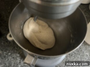 kneading sourdough rolls dough