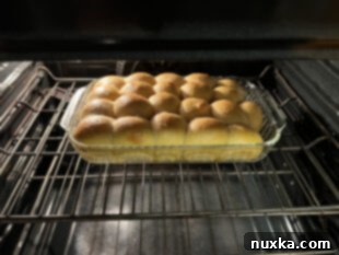 Baked whole wheat sourdough dinner rolls made with 100% whole grains