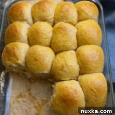 Rustic Whole Wheat Sourdough Buns 6 soft whole wheat sourdough dinner rolls