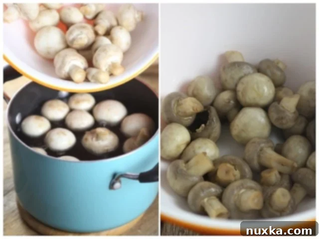 mushrrom avacodo salad 1