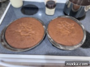 baked honey cake layers