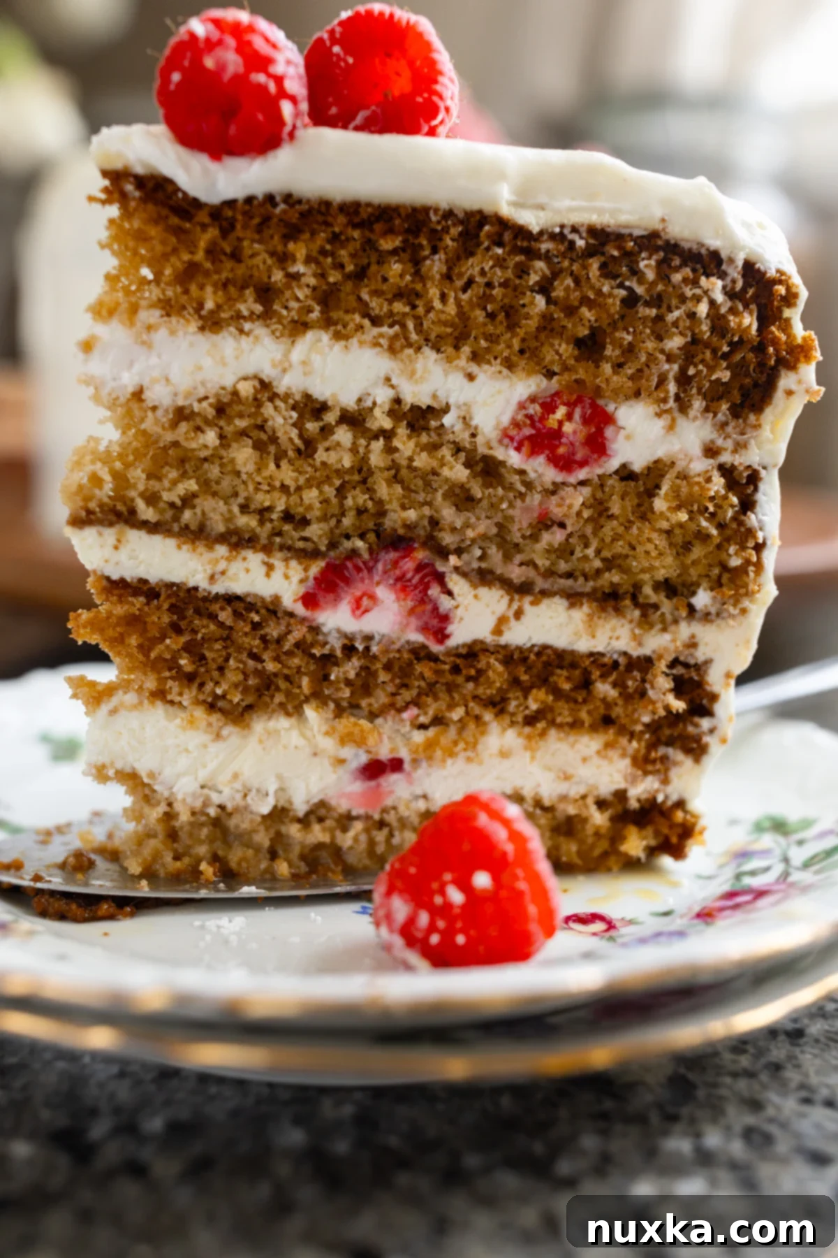 slice of raspberry honey cake 