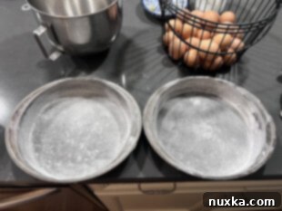 greased and buttered pans for honey sponge cakes