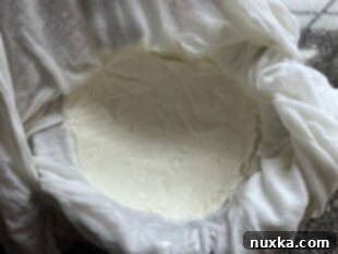 homemade kefir cream cheese