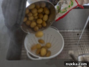 draining whole boiled potatoes into a colander