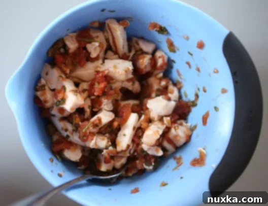Mixing pre-cooked chicken pieces with fresh salsa in a bowl