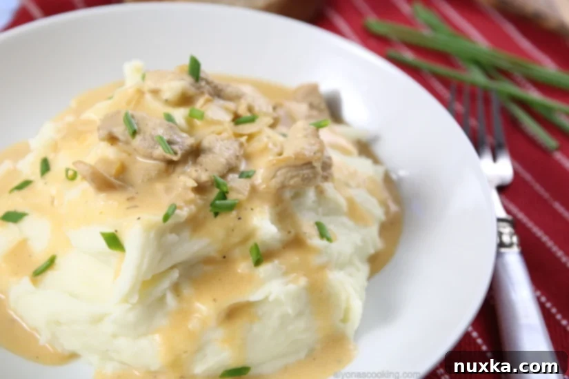 Close-up of the finished Russian Pork Gravy with tender pork pieces