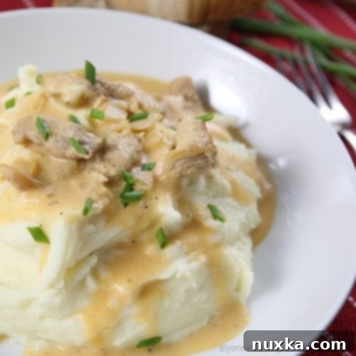 Pork Gravy served over mashed potatoes