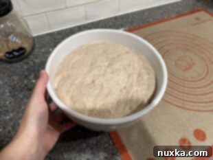 risen whole wheat sourdough baguette dough