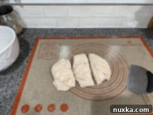img 29848 12