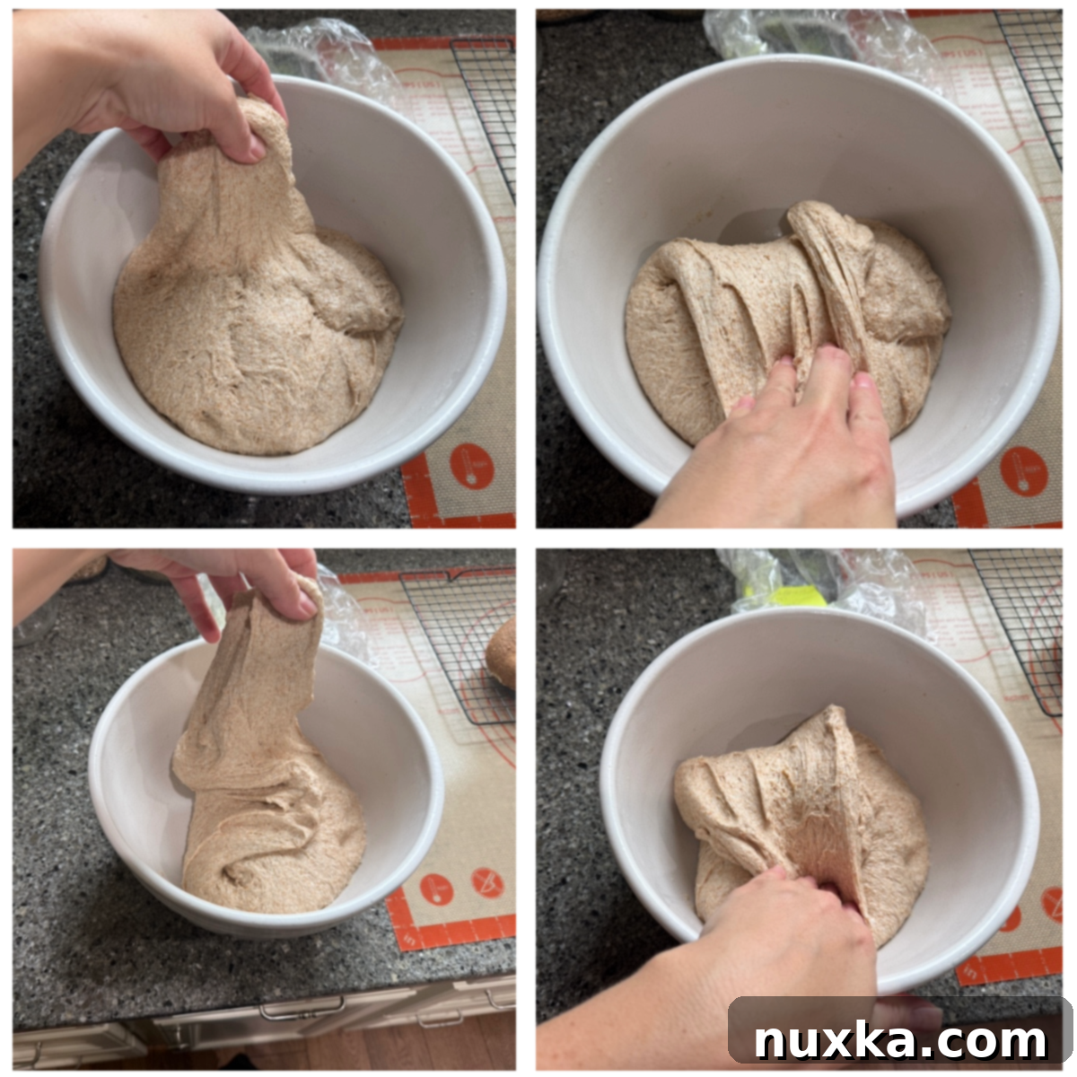 performing stretch and folds for whole wheat sourdough baguettes 
