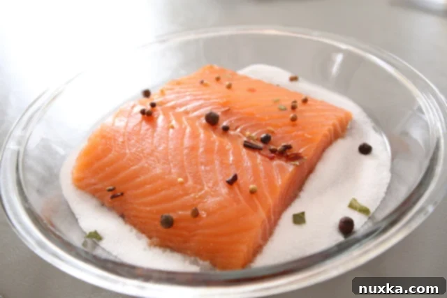 IMG_5430 salmon fillet covered in salt and sugar mixture