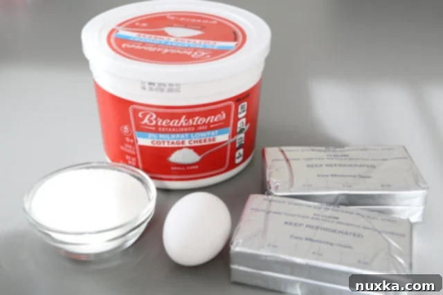 ingredients for cottage cheese filling laid out