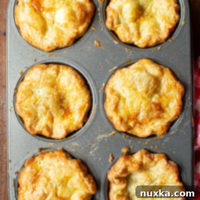 Cozy Chicken Pot Pies 2 chicken pot pie recipe with a homemade crust and soup