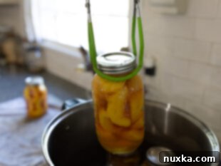 removing freshly canned peaches from a hot water bath with a jar lifter