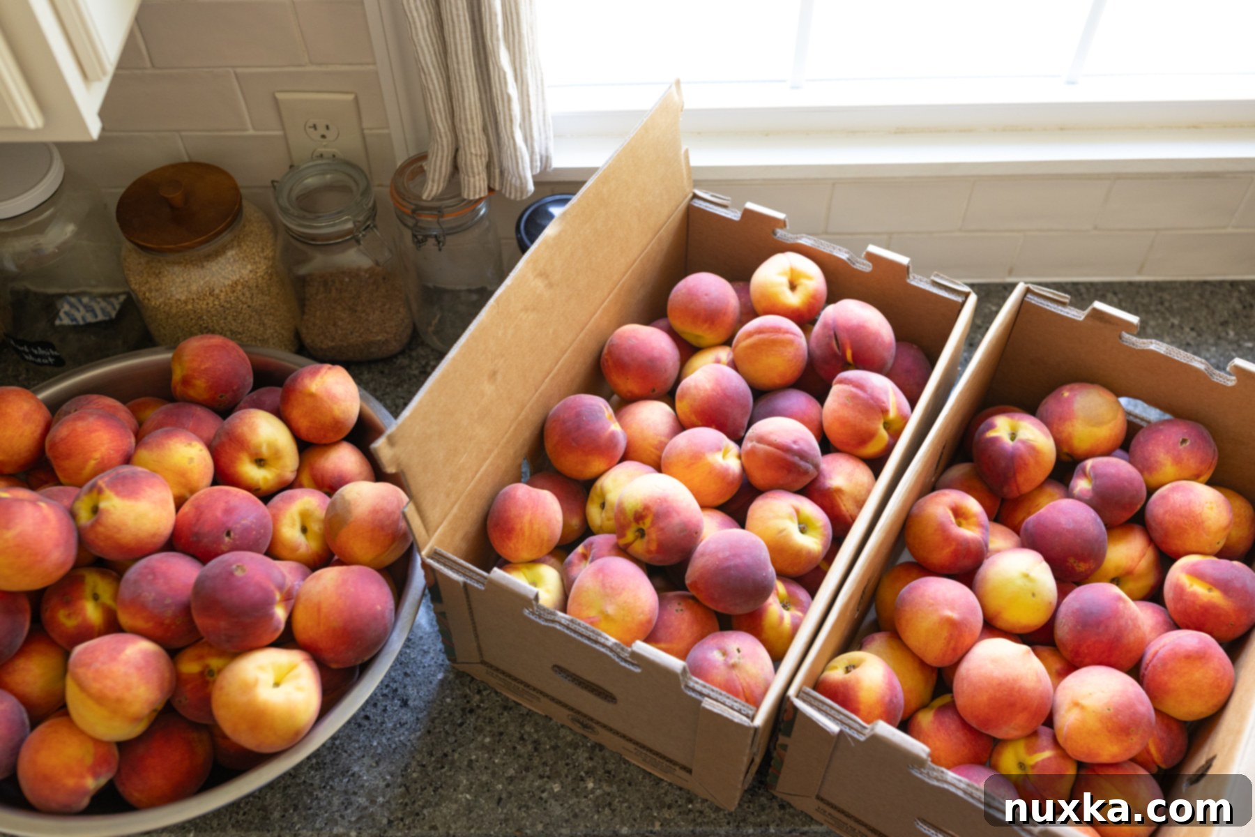 close-up of fresh, organic peaches in half-bushel boxes for canning