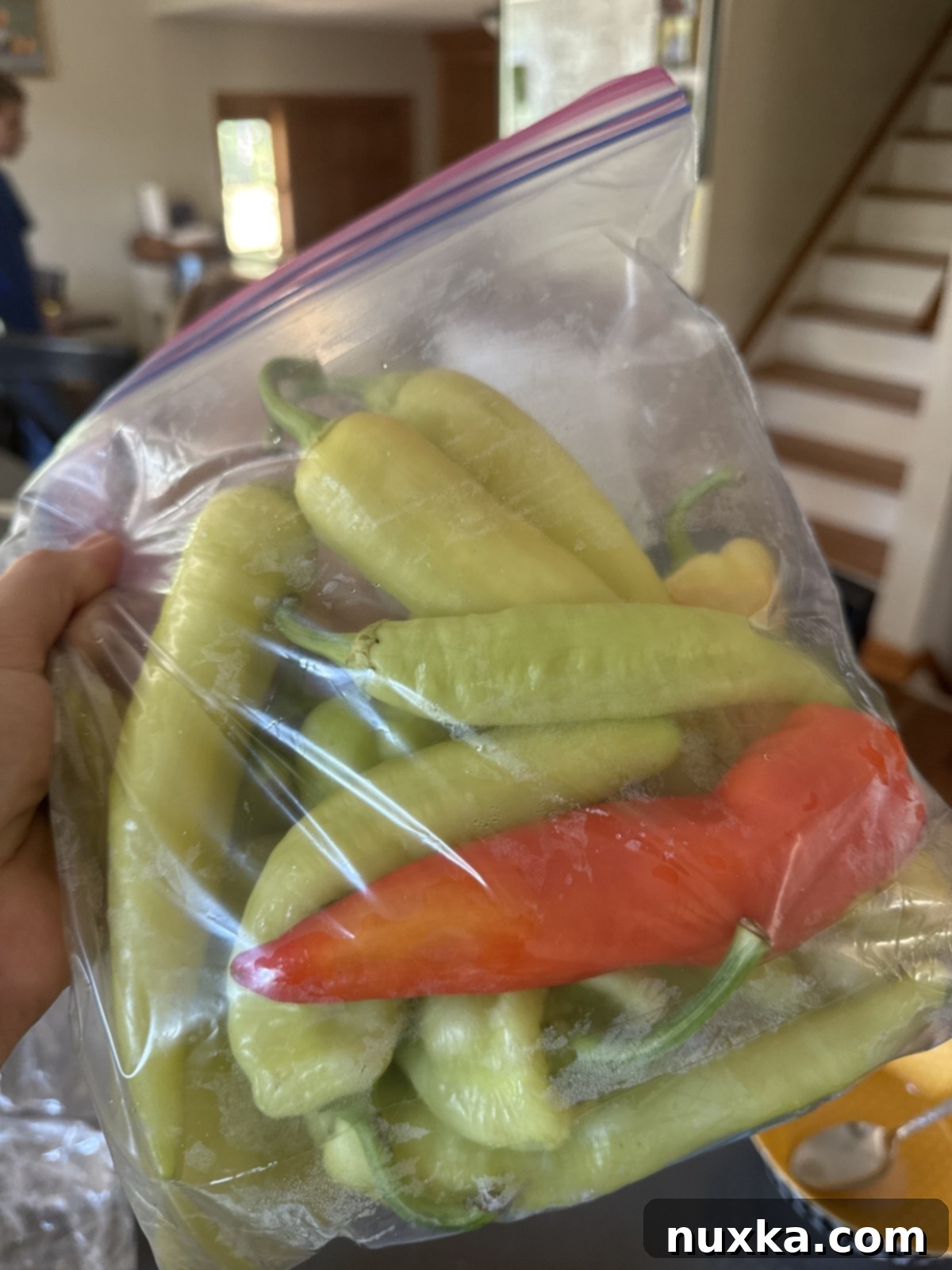 A bag brimming with freshly picked yellow banana peppers, ready for pickling.