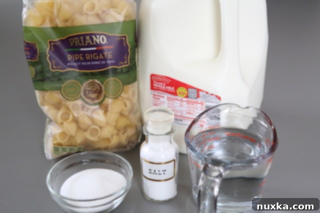 Ingredients for making a delicious Pasta with Milk (Molochne) including milk, pasta, sugar, and salt.
