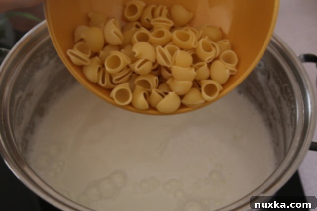 Step 3: Pasta and salt added to boiling milk, stirring to ensure even cooking.