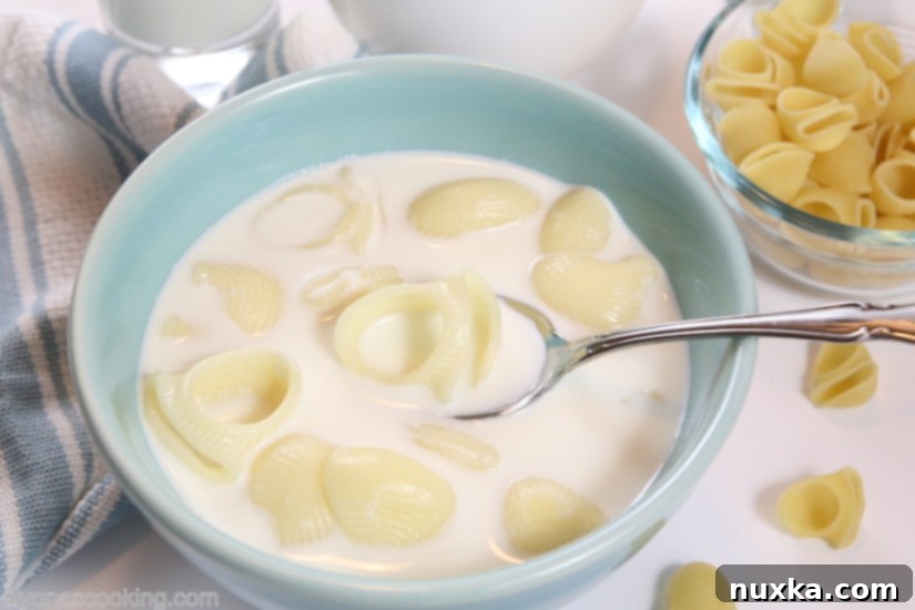 A beautifully plated bowl of Molochne, Russian milk soup with pasta, ready to be enjoyed.