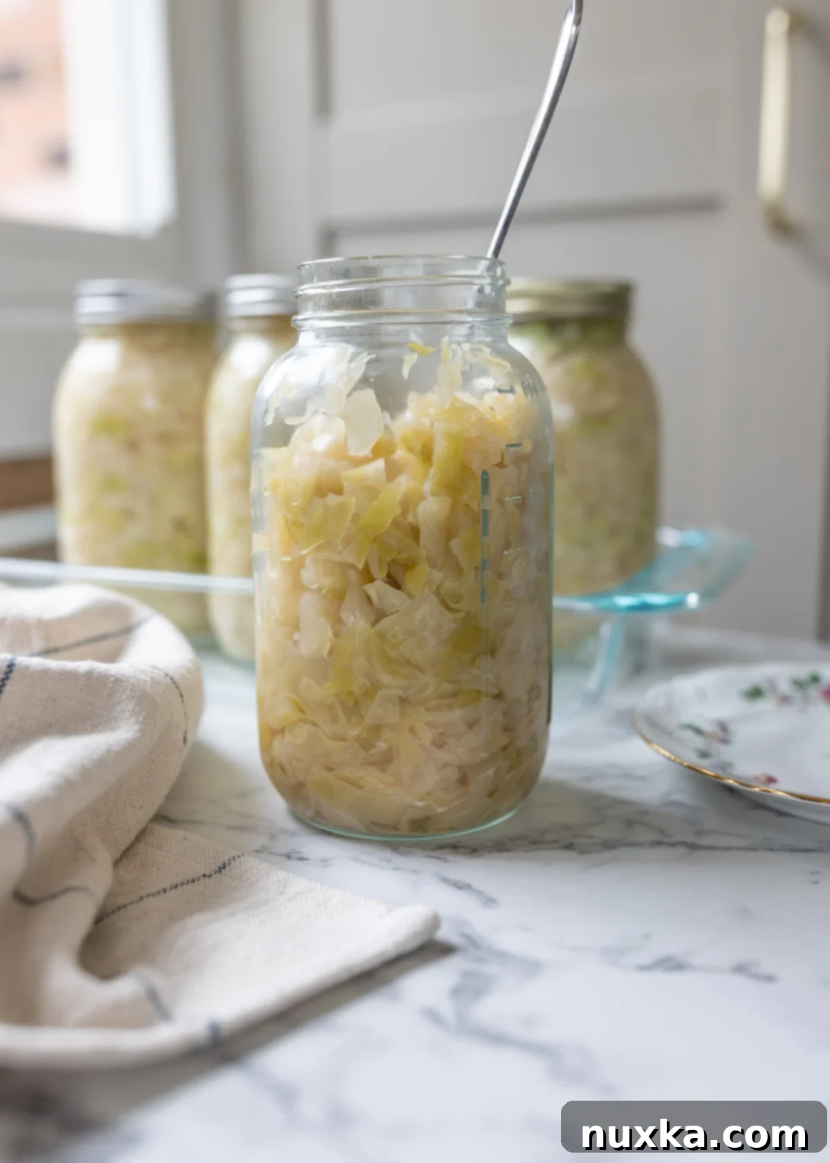 Homemade sauerkraut in canning jars, golden-pale green and translucent, ready for fermentation or storage