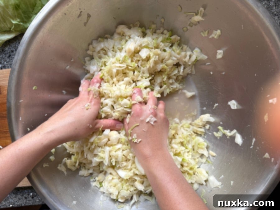 After thoroughly massaging cabbage with salt, the mixture appears wet with ample brine released at the bottom of the bowl