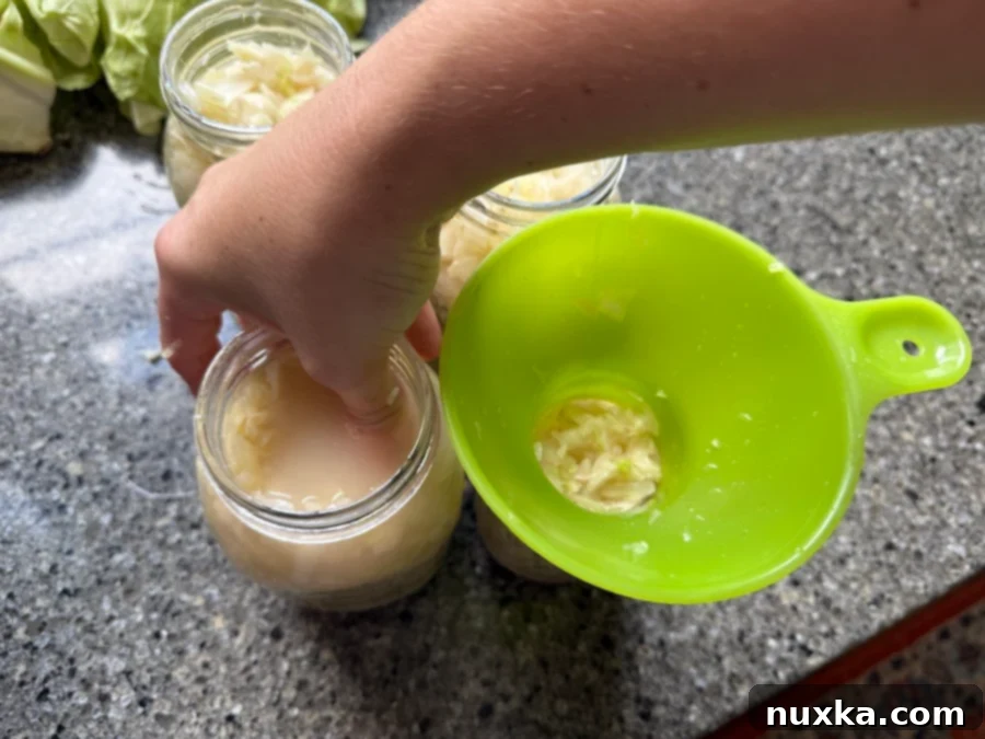 Tightly packing massaged cabbage with its natural liquid into quart jars, ensuring all cabbage is submerged for proper sauerkraut fermentation