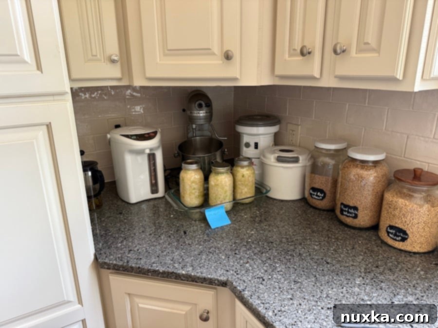 Jars of packed cabbage placed in a dark corner on the counter to ferment for two weeks, transforming into homemade sauerkraut