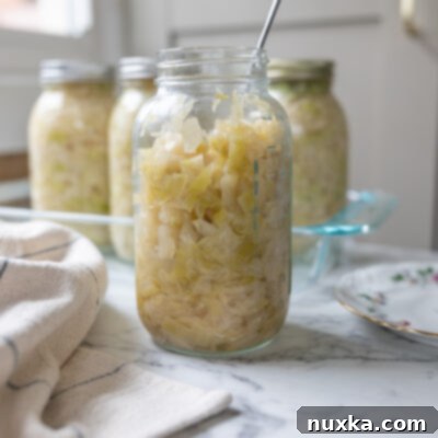 Crafting Delicious Homemade Sauerkraut 15 Homemade sauerkraut in canning jars, golden-pale green and translucent, ready for fermentation or storage