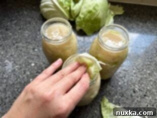 Jars of packed cabbage fermenting in a dark corner on the counter for two weeks to become homemade sauerkraut